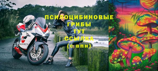 ешки Алексин