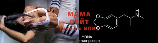ешки Алексин