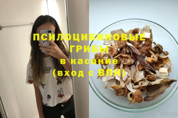 spice Алексеевка