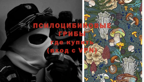 ешки Алексин