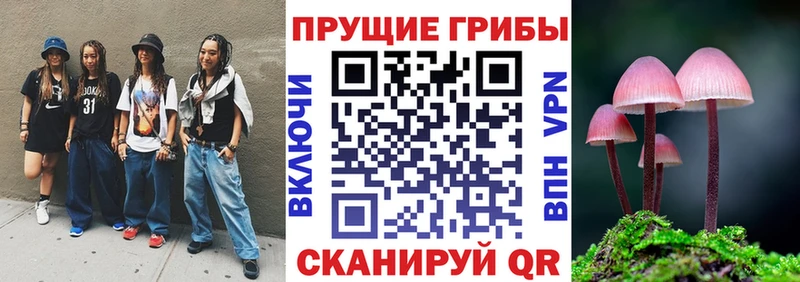 Галлюциногенные грибы мицелий магазин Павлово
