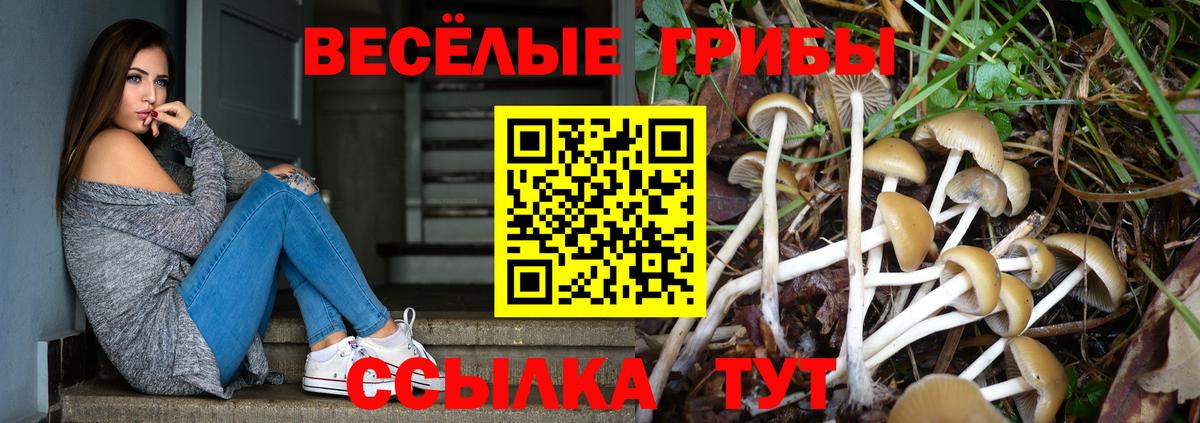 Галлюциногенные грибы прущие грибы  Псилоцибиновые грибы Magic Shrooms  Павлово  Вход с VPN 