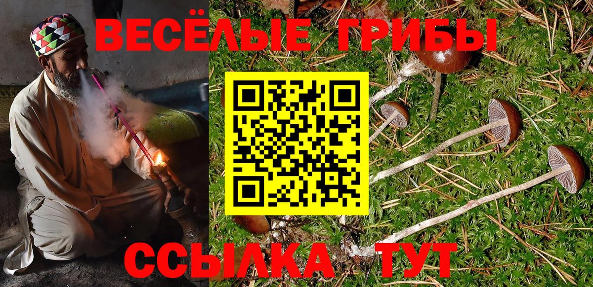 Псилоцибиновые грибы GOLDEN TEACHER Павлово